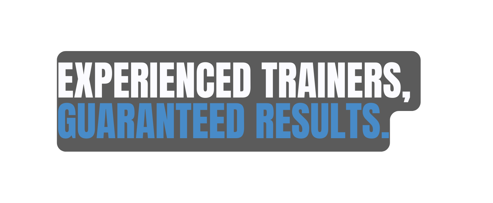 Experienced Trainers GUARANTEED results